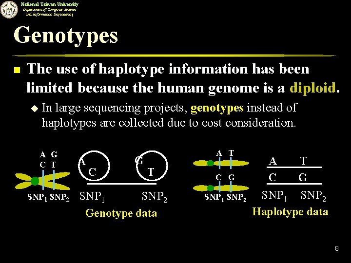 National Taiwan University Department of Computer Science and Information Engineering Genotypes n The use