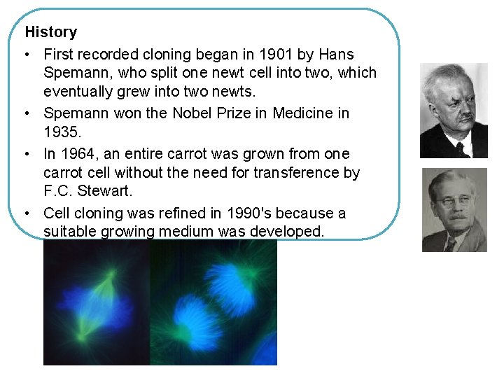 History • First recorded cloning began in 1901 by Hans Spemann, who split one History • First recorded cloning began in 1901 by Hans Spemann, who split one