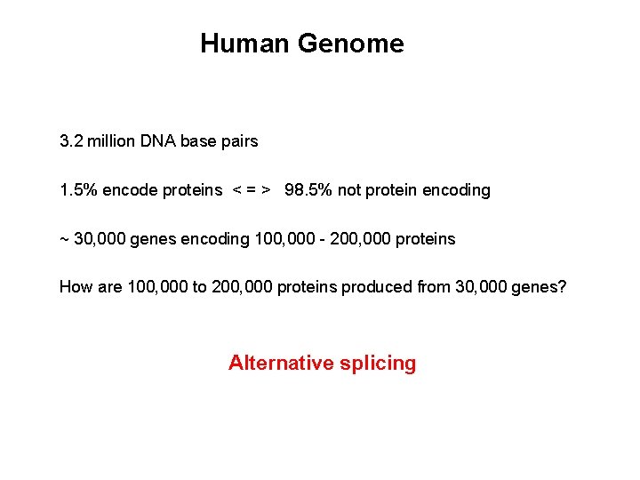 Human Genome 3. 2 million DNA base pairs 1. 5% encode proteins < =