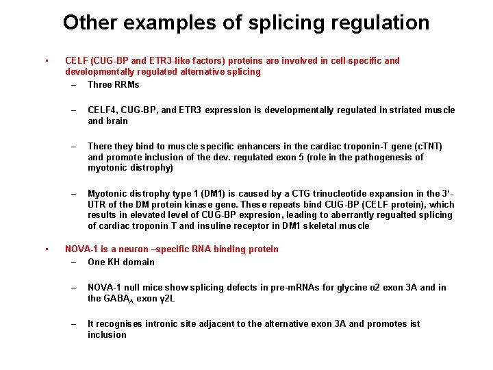 Other examples of splicing regulation • • CELF (CUG-BP and ETR 3 -like factors)