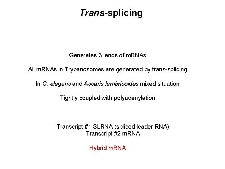 Trans-splicing Generates 5‘ ends of m. RNAs All m. RNAs in Trypanosomes are generated