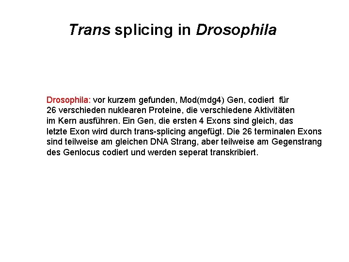 Trans splicing in Drosophila: vor kurzem gefunden, Mod(mdg 4) Gen, codiert für 26 verschieden