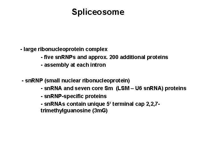 Spliceosome - large ribonucleoprotein complex - five sn. RNPs and approx. 200 additional proteins