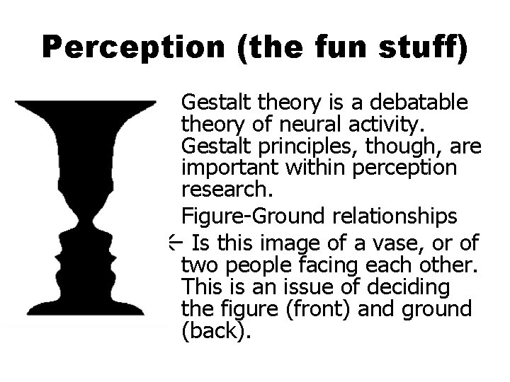 Perception (the fun stuff) • Gestalt theory is a debatable theory of neural activity.