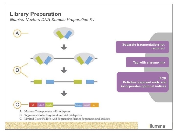 total rna isolation end repair of