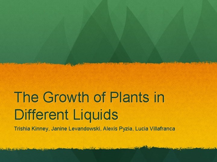 The Growth of Plants in Different Liquids Trishia Kinney, Janine Levandowski, Alexis Pyzia, Lucia