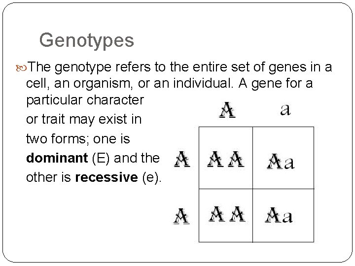 Genotypes The genotype refers to the entire set of genes in a cell, an