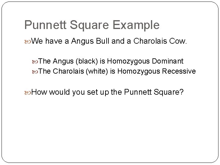 Punnett Square Example We have a Angus Bull and a Charolais Cow. The Angus