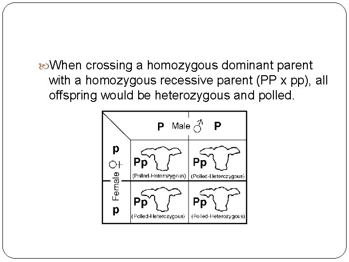  When crossing a homozygous dominant parent with a homozygous recessive parent (PP x