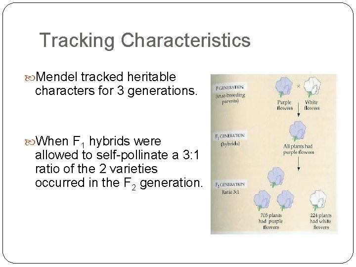 Tracking Characteristics Mendel tracked heritable characters for 3 generations. When F 1 hybrids were