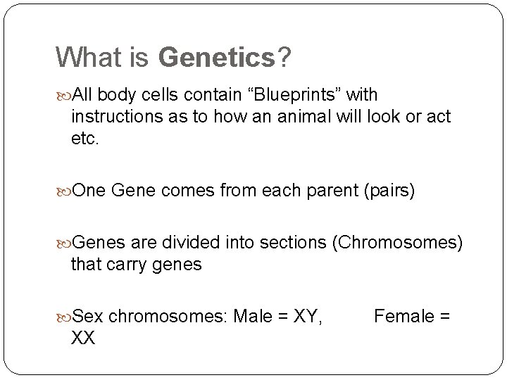 What is Genetics? All body cells contain “Blueprints” with instructions as to how an