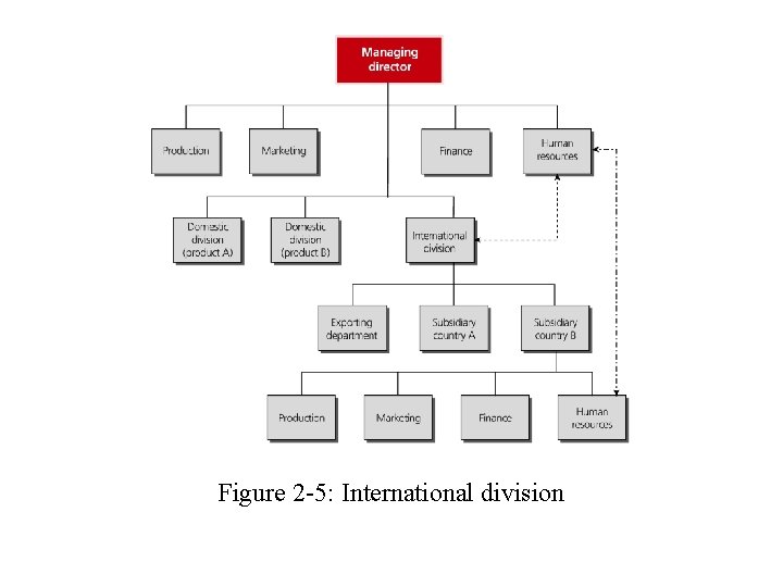 Figure 2 -5: International division 
