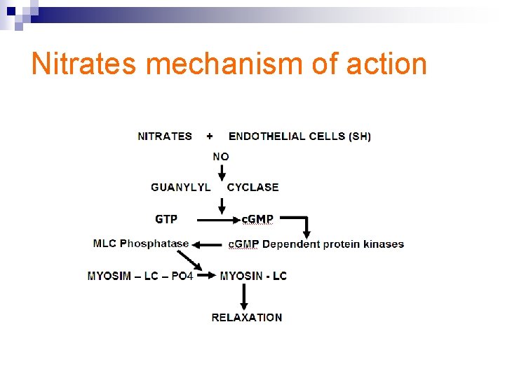 Nitrates mechanism of action Nitrates mechanism of action