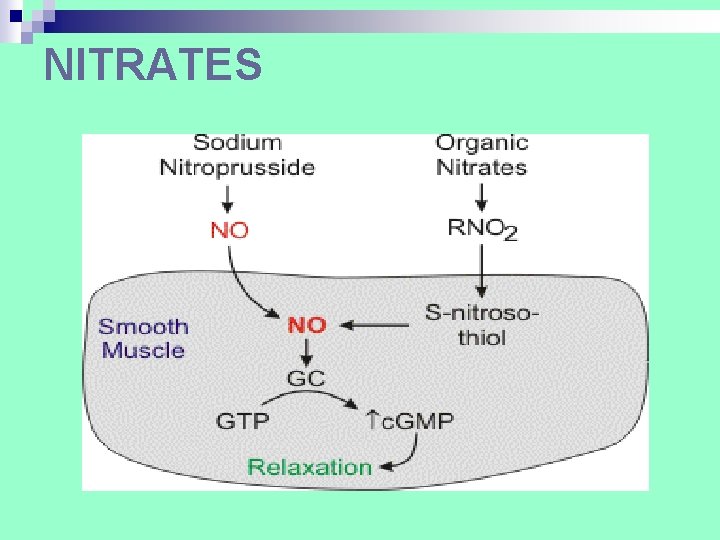 NITRATES NITRATES
