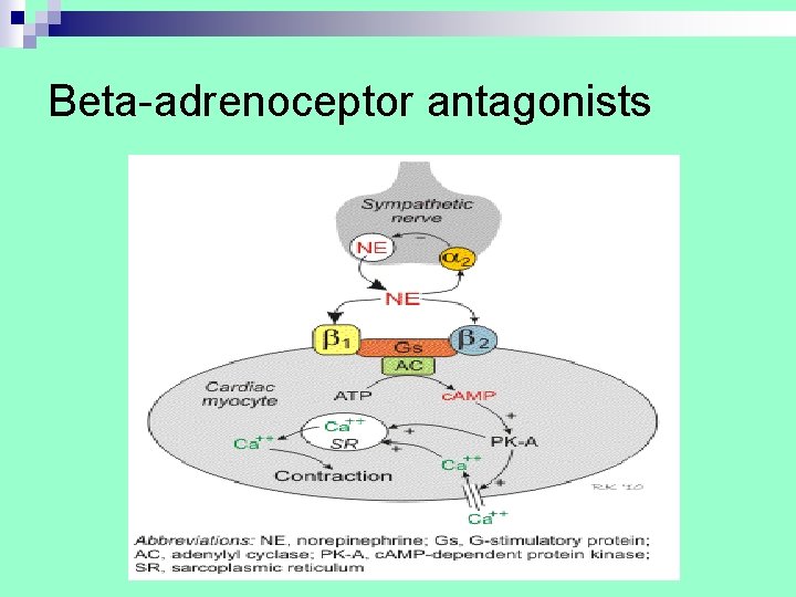 Beta-adrenoceptor antagonists Beta-adrenoceptor antagonists