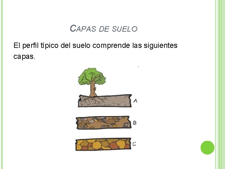 CAPAS DE SUELO El perfil típico del suelo comprende las siguientes capas. 
