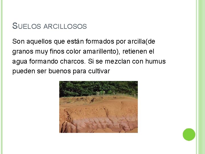 SUELOS ARCILLOSOS Son aquellos que están formados por arcilla(de granos muy finos color amarillento),