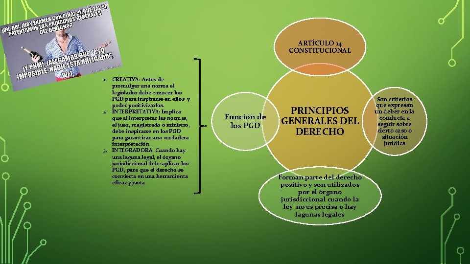 ARTÍCULO 14 CONSTITUCIONAL 1. CREATIVA: Antes de promulgar una norma el legislador debe conocer