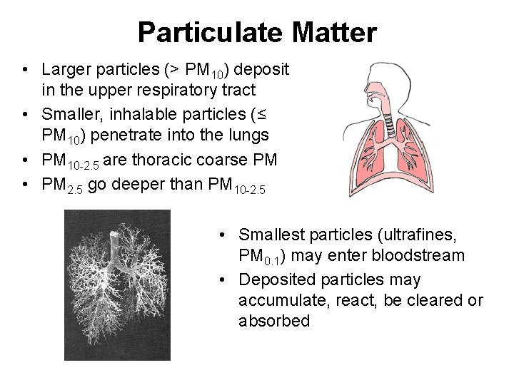 Particulate Matter • Larger particles (> PM 10) deposit in the upper respiratory tract