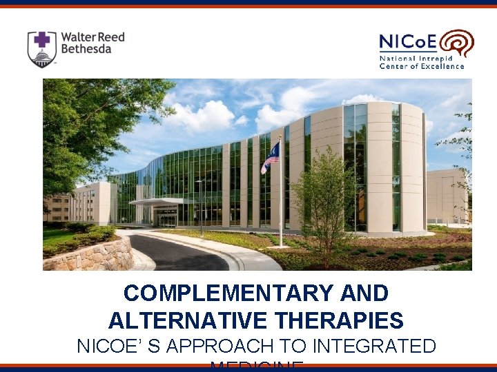 COMPLEMENTARY AND ALTERNATIVE THERAPIES NICOE’ S APPROACH TO INTEGRATED 