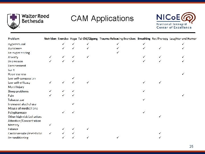 CAM Applications 25 