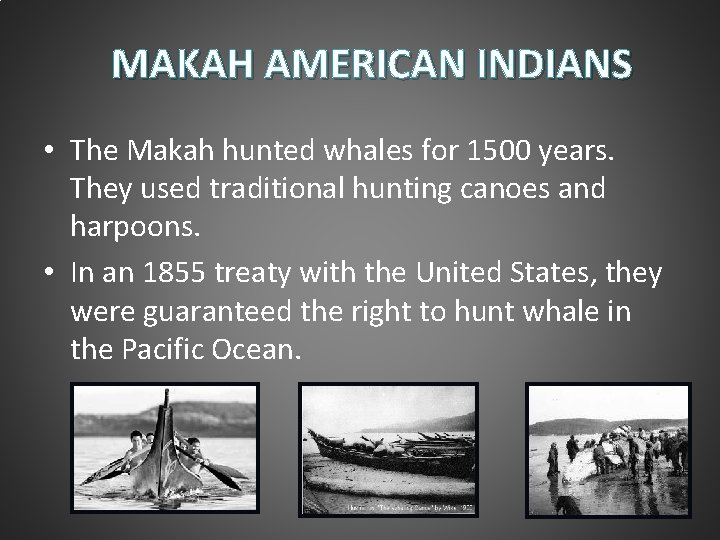 MAKAH AMERICAN INDIANS • The Makah hunted whales for 1500 years. They used traditional