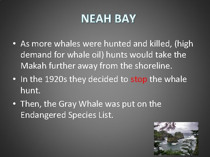 NEAH BAY • As more whales were hunted and killed, (high demand for whale NEAH BAY • As more whales were hunted and killed, (high demand for whale