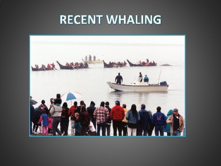 RECENT WHALING RECENT WHALING