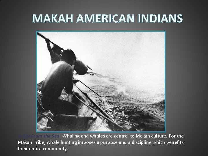 MAKAH AMERICAN INDIANS A Gift From the Sea- Whaling and whales are central to