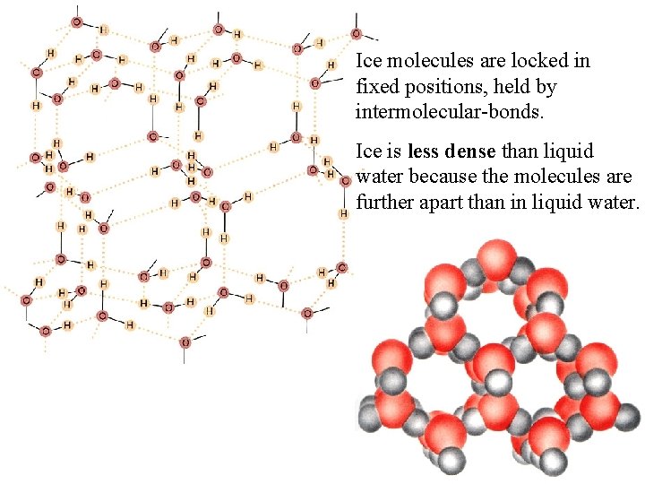 Ice molecules are locked in fixed positions, held by intermolecular-bonds. Ice is less dense