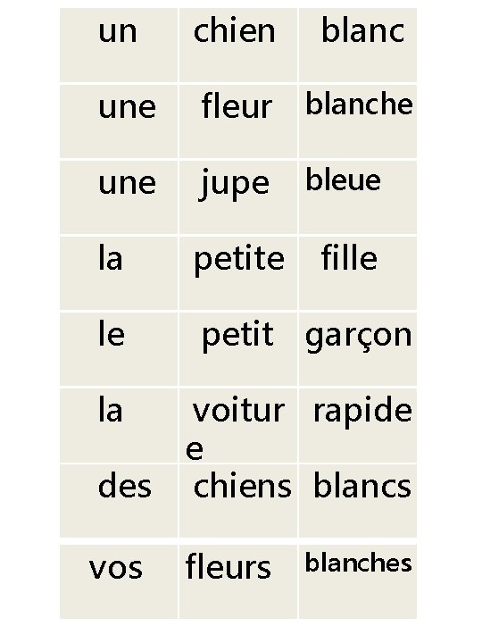 un chien blanc une fleur blanche une jupe bleue la petite fille le petit