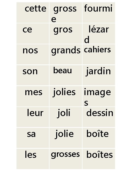 cette gross fourmi e ce gros lézar d nos grands cahiers son beau mes