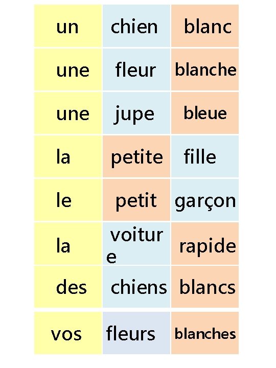 un chien blanc une fleur blanche une jupe bleue la petite fille le petit