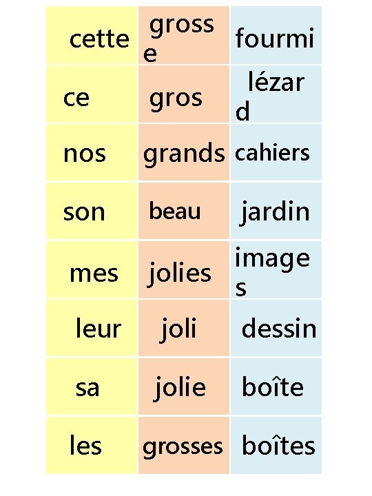 gross cette fourmi e lézar ce gros d nos grands cahiers son beau mes