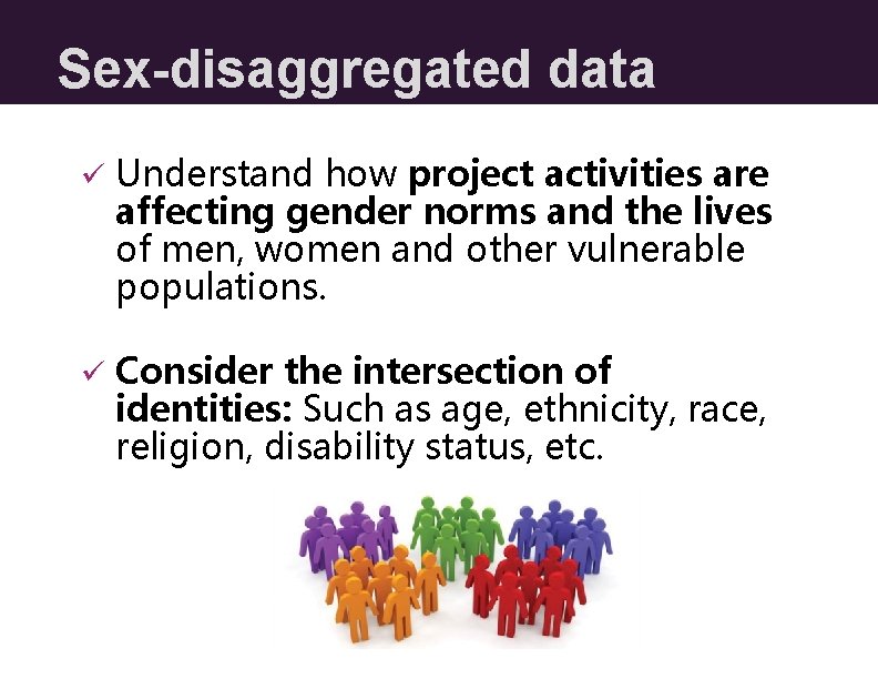 Sex-disaggregated data ü Understand how project activities are affecting gender norms and the lives Sex-disaggregated data ü Understand how project activities are affecting gender norms and the lives