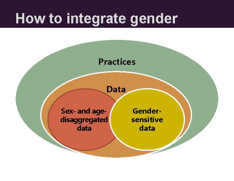 How to integrate gender Practices Data Sex- and agedisaggregated data Gendersensitive data How to integrate gender Practices Data Sex- and agedisaggregated data Gendersensitive data