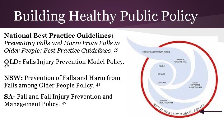 Building Healthy Public Policy National Best Practice Guidelines: Preventing Falls and Harm From Falls
