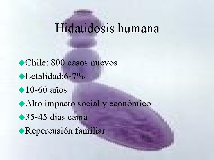 Hidatidosis humana u. Chile: 800 casos nuevos u. Letalidad: 6 -7% u 10 -60