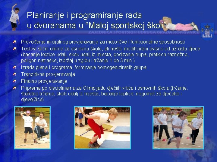 Planiranje i programiranje rada u dvoranama u “Maloj sportskoj školi” Provođenje inicijalnog provjeravanje za