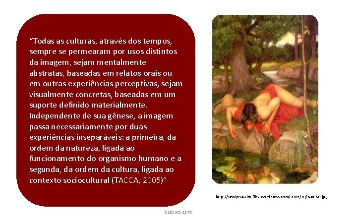 “Todas as culturas, através dos tempos, sempre se permearam por usos distintos da imagem,