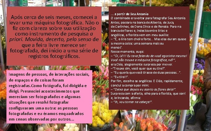 Após cerca de seis meses, comecei a levar uma máquina fotográfica. Não o fiz