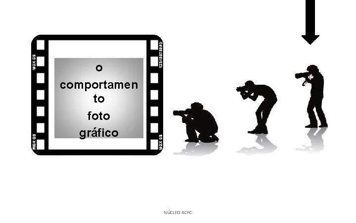 o comportamen to foto gráfico NÚCLEO ACPC 