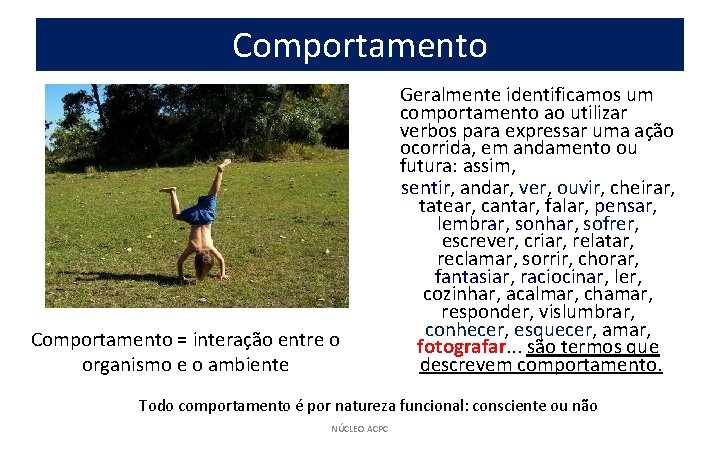 Comportamento = interação entre o organismo e o ambiente Geralmente identificamos um comportamento ao