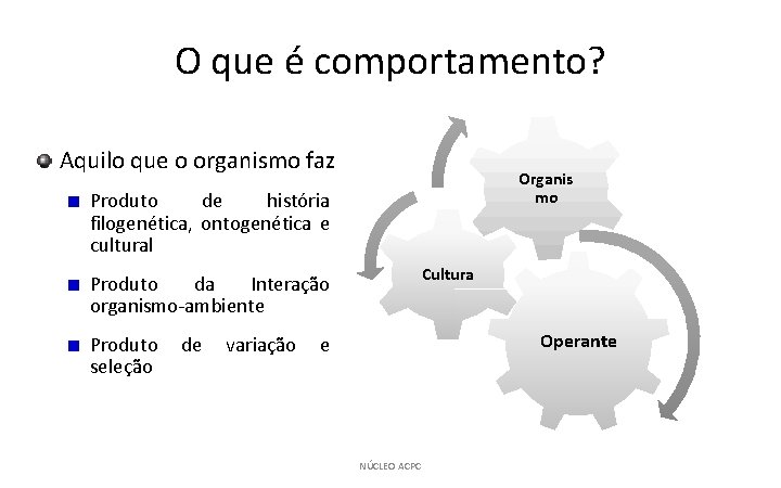 O que é comportamento? Aquilo que o organismo faz Organis mo Produto de história