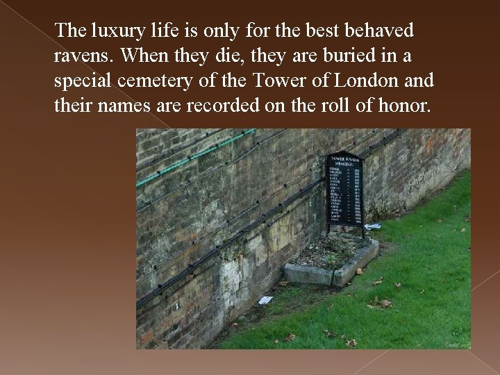 The luxury life is only for the best behaved ravens. When they die, they
