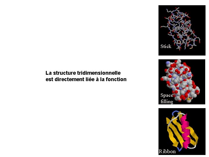 Stick La structure tridimensionnelle est directement liée à la fonction Space filling Ribbon 