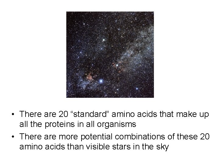  • There are 20 “standard” amino acids that make up all the proteins