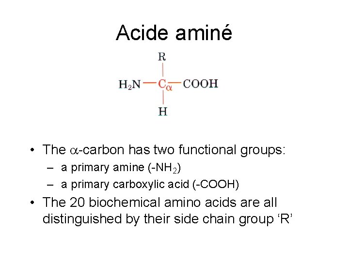 Acide aminé • The a-carbon has two functional groups: – a primary amine (-NH