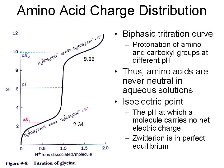 Amino Acid Charge Distribution • Biphasic tritration curve 9. 69 – Protonation of amino