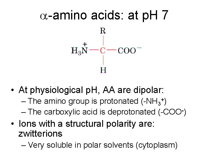 a-amino acids: at p. H 7 • At physiological p. H, AA are dipolar: